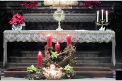 adorazione-eucaristica-2020-5