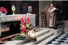 adorazione-eucaristica-2020-7