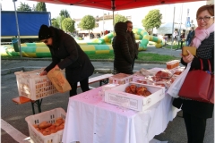 SanMartinoParrocchia2019- (18)