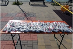 2022-benedizione-ulivi-1