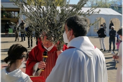 2022-benedizione-ulivi-10
