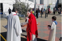 2022-benedizione-ulivi-11