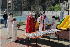 2022-benedizione-ulivi-14