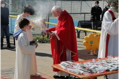 2022-benedizione-ulivi-16