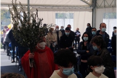 2022-benedizione-ulivi-22