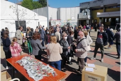 2022-benedizione-ulivi-28