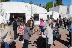 2022-benedizione-ulivi-31