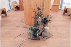 2022-benedizione-ulivi-32