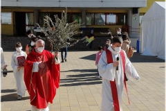 2022-benedizione-ulivi-6