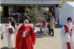 2022-benedizione-ulivi-7