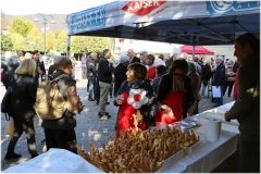 2022-festa-sanmartino-nuovo-160