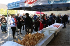 2022-festa-sanmartino-nuovo-162