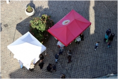 2022-festa-sanmartino-nuovo-170