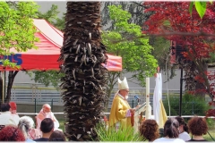 2022-05-Messa-casa-Riposo-27