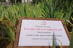 2023-Giardino-Iris-8