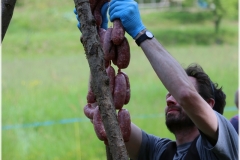 2025-Ronchella-Festa-43