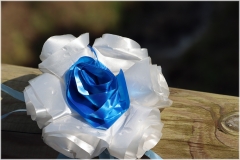 2025-Ronchella-Festa-53