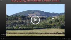 film-pellegrinaggio-11