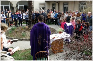 condivisione 2017- (27)