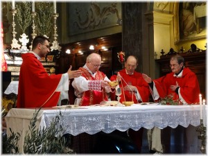 Domenica delle palme 2017- (11)